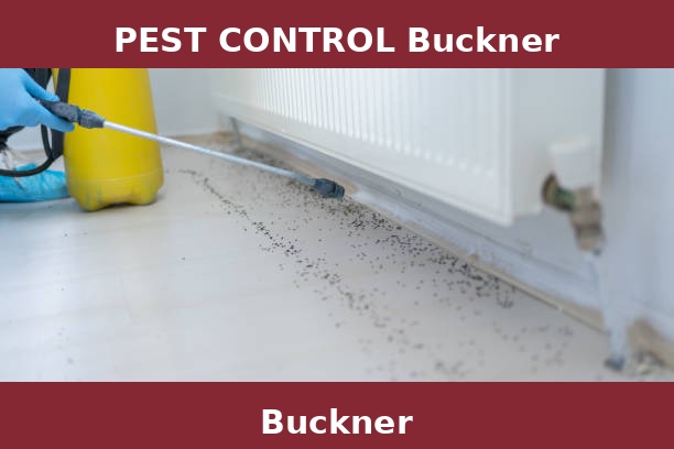 PEST CONTROL Buckner